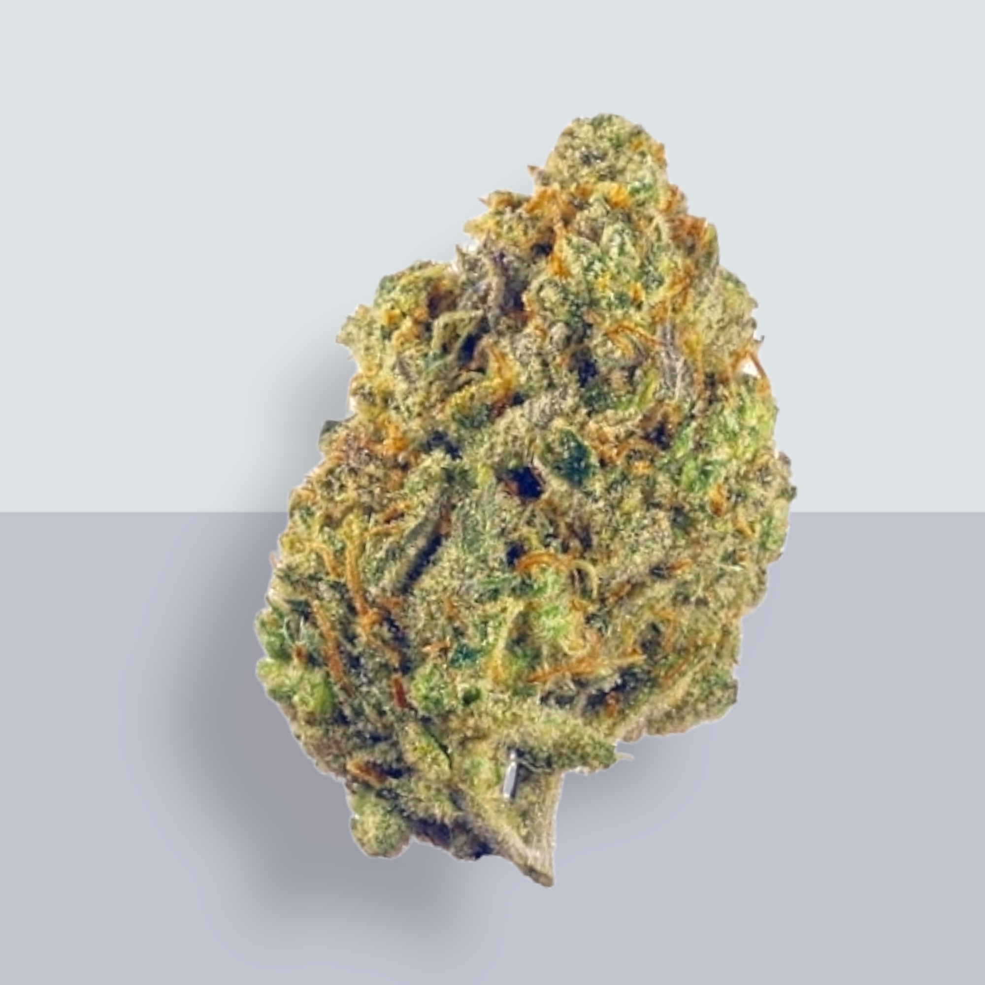 Lilac Diesel Colorado's Tastiest Buds