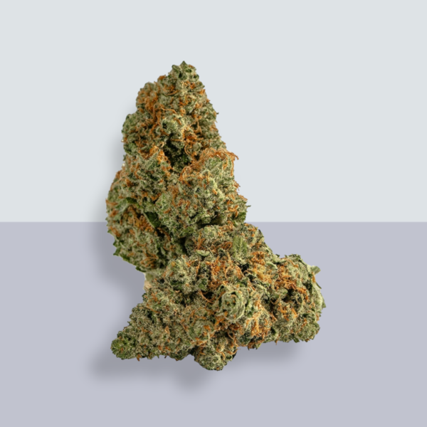 Rise N' Shine Colorado Cannabis Wholesaler