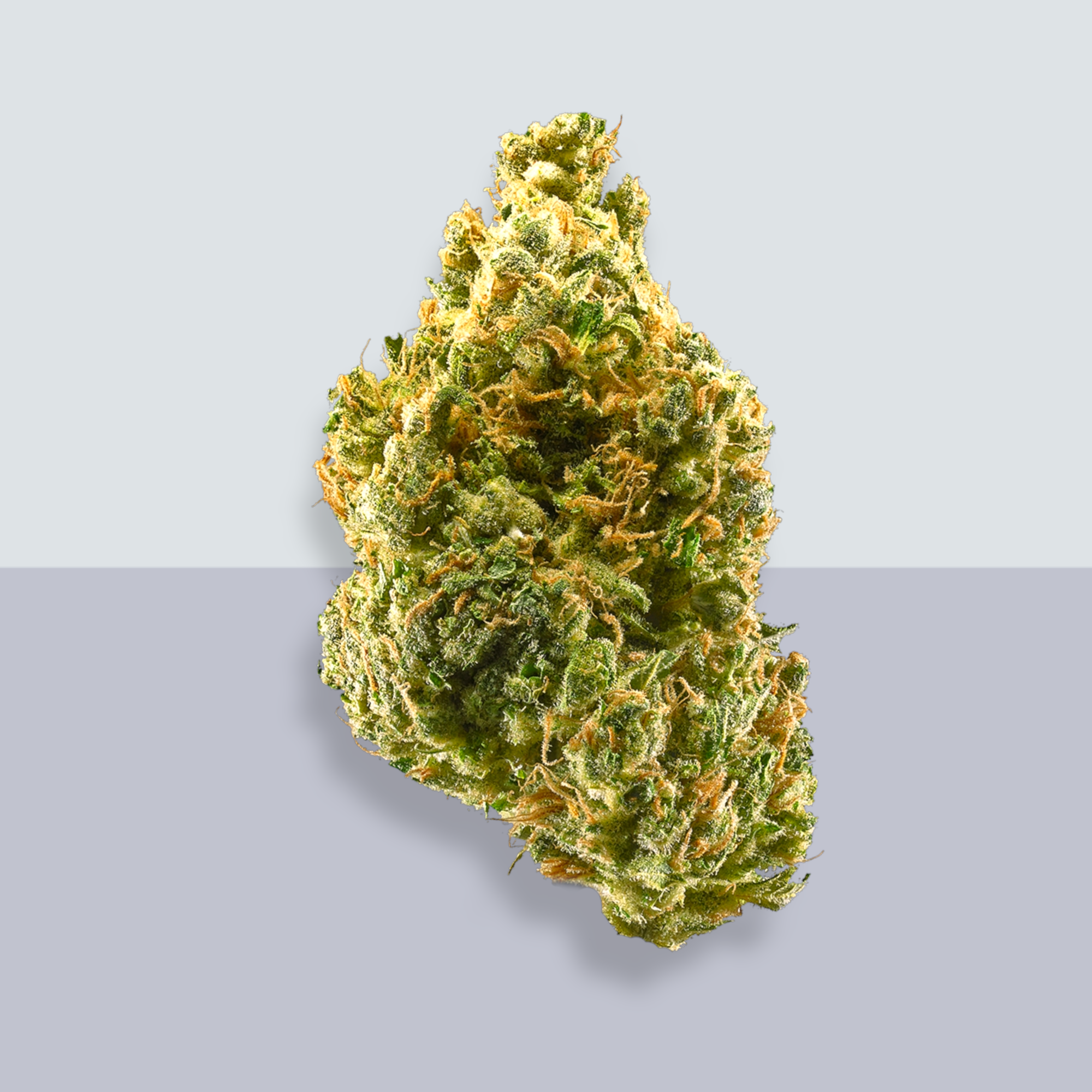 Tangidos colorado premium artisan cannabis