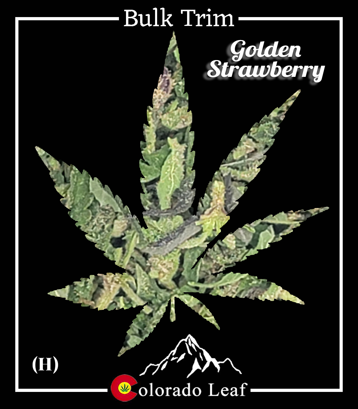 Golden Strawberry